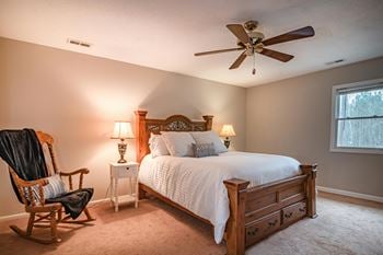 Ceiling fan